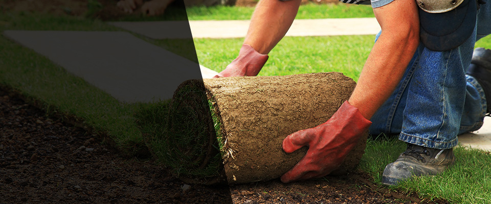 Blooming Prairie Landscapers